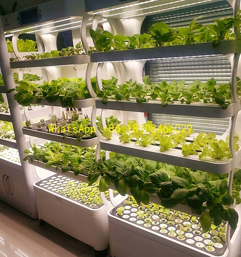 رف عمودي للزراعة الداخلية لآلة الزراعة المائية عالي الإنتاجية للدفيئة الذكية عموديًا #1