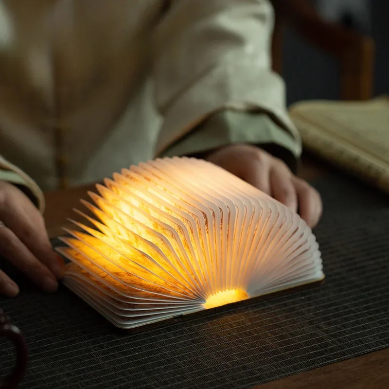 Library Shanhai Classic Book Light Night Light Adjustable Lighting Creative Ornament Gift