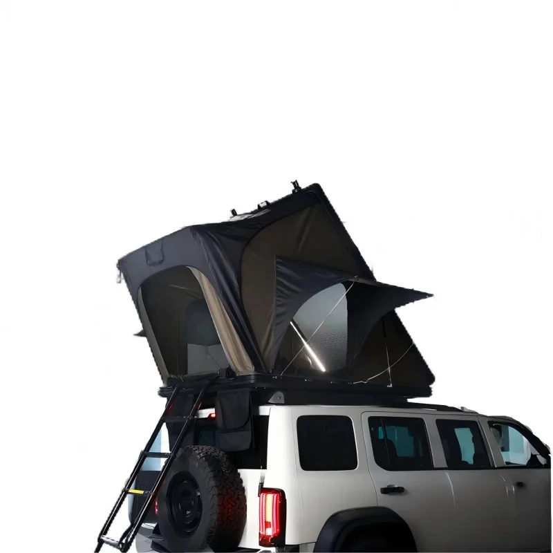 Hot Selling  Single Layer Waterproof Roof Top Tent ized Portle Outdoor Camping-Ox Fric And Ladd High Quality view 6