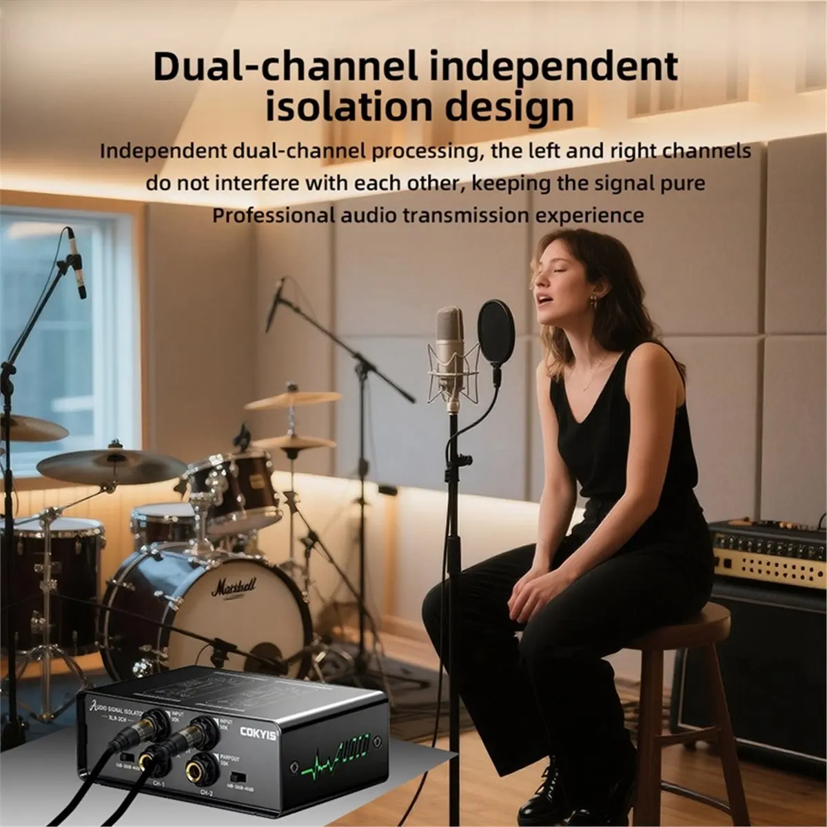 

Audio Isolator Three Level Gain Adjustment Effectively Noise Current Dual Channel Isolation