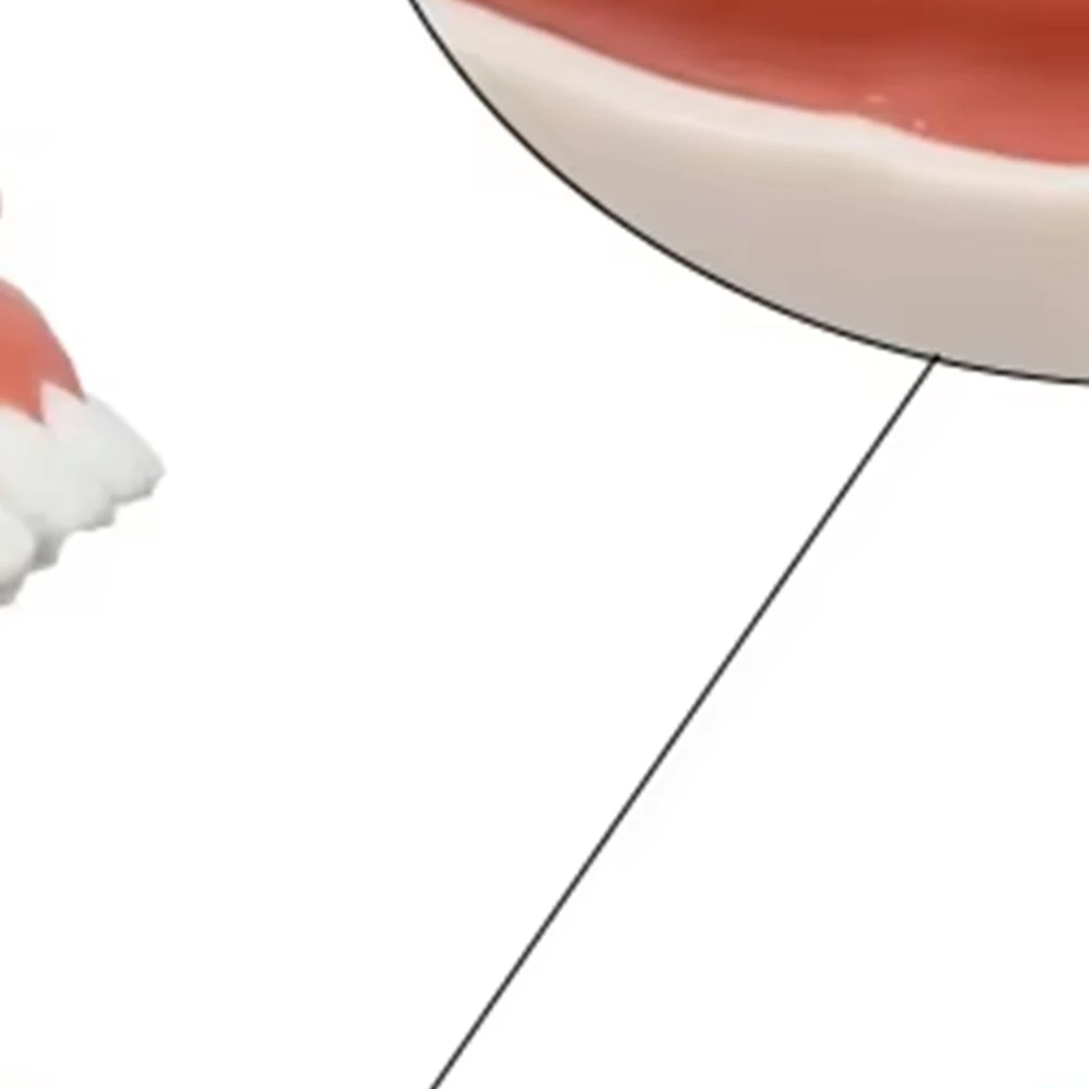 

200Pcs Dental Wooden Wedges Interdental Gap Wedges Treated Tips for Gum Protection Disposable Dentist Supplies Dental Clinic