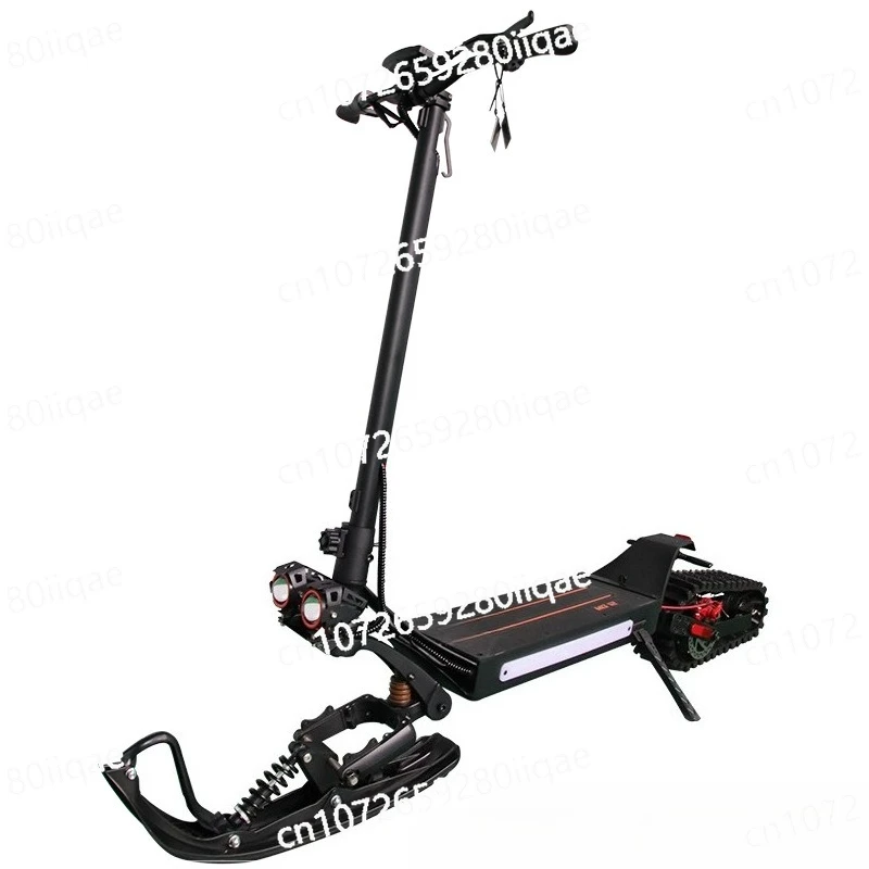 

New Ski Resort Electric Ski with Tracked Replaceable Tires for Snow