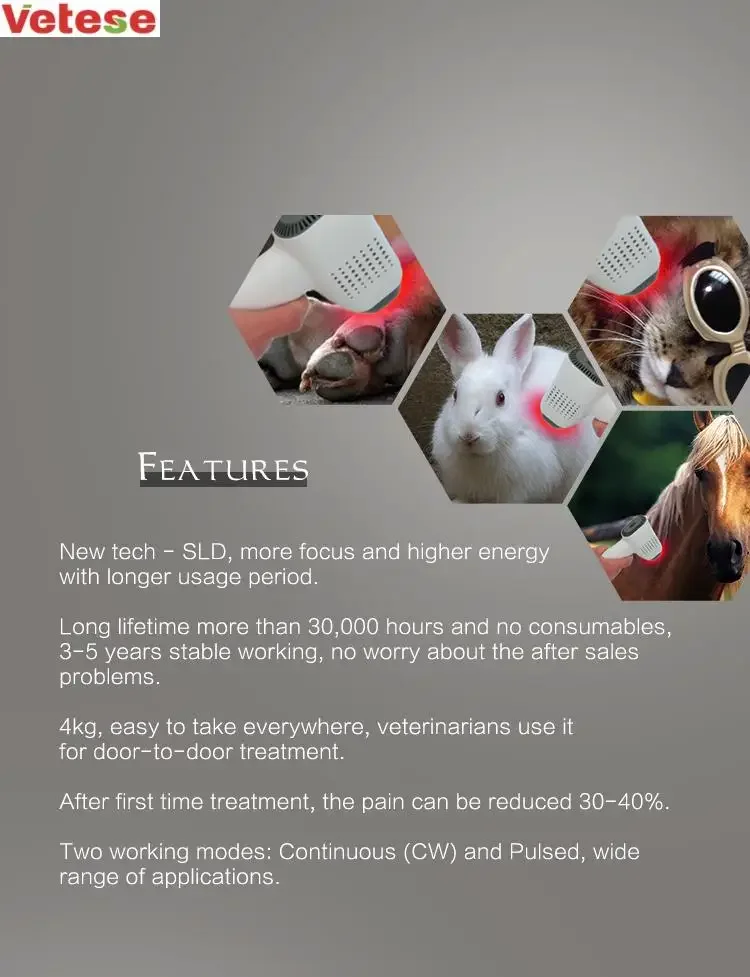 Veterinary Cold Laser Pain Relief Animal Wound Healing for Dogs Cats Horses Medical Physical class 4 Therapy Device