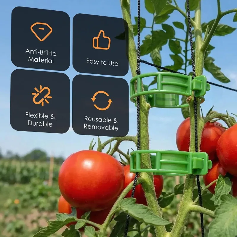 180A tomato clip，Used for climbing plants，Plastic grid plant support clips，Suitable for Gardens，Reusable clips，Used to support g