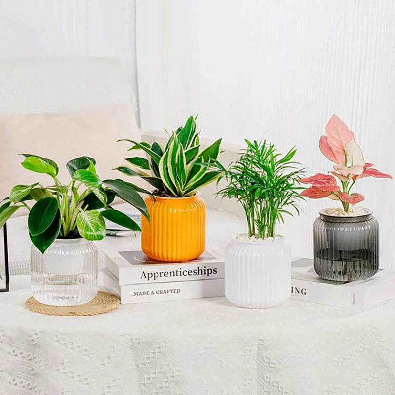 Imagem -02 - Vaso de Flores de Mesa Interior Mini Vasos de Plantador Auto Rega Plantas Hidropônicas Jardim em Casa Decoração de Bonsai Suculentas