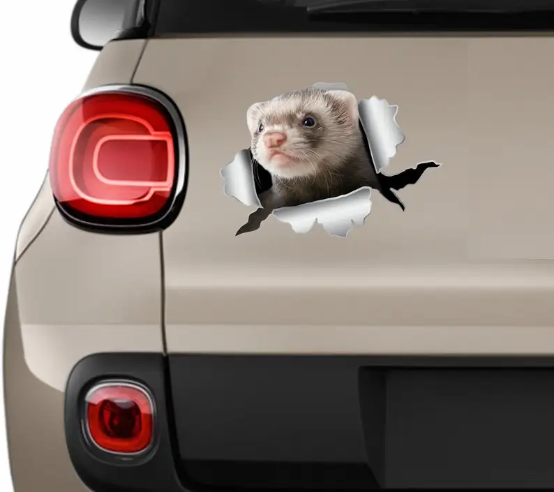 Ferret sticker Ferret decal Car sticker ferret Ferret car sticker Funny decal Ferret stickers Laptop ferret Decal ferret Auto st