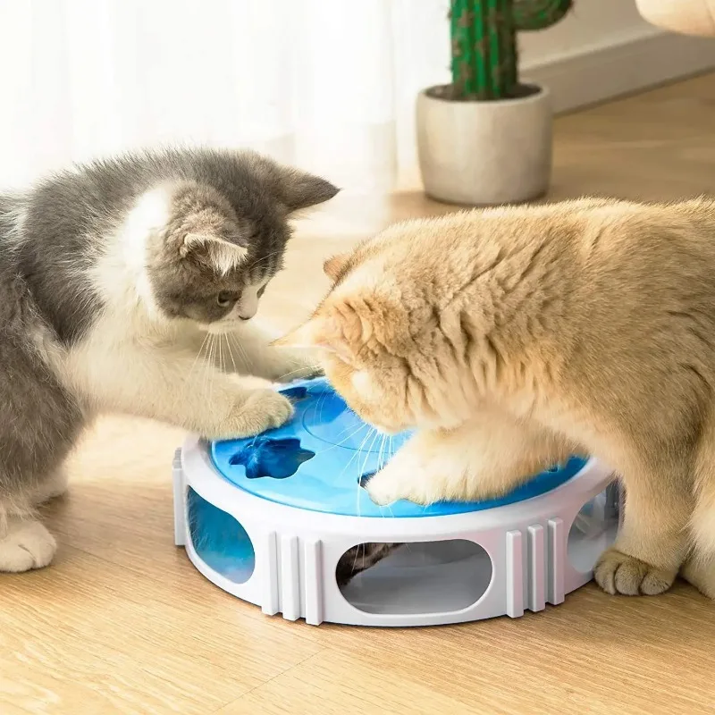 

Cat Supplies Electric Cat Toy with Feather LED Light Automatic Rotation Intelligent Toys for Cats Cat Accessories