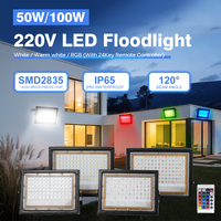 50W 100W LED Floodlight IP65 Waterproof Aluminum Lamp Body SMD2835 High Brightness Chip Outdoor RGB AC220V LED Light Floodlight