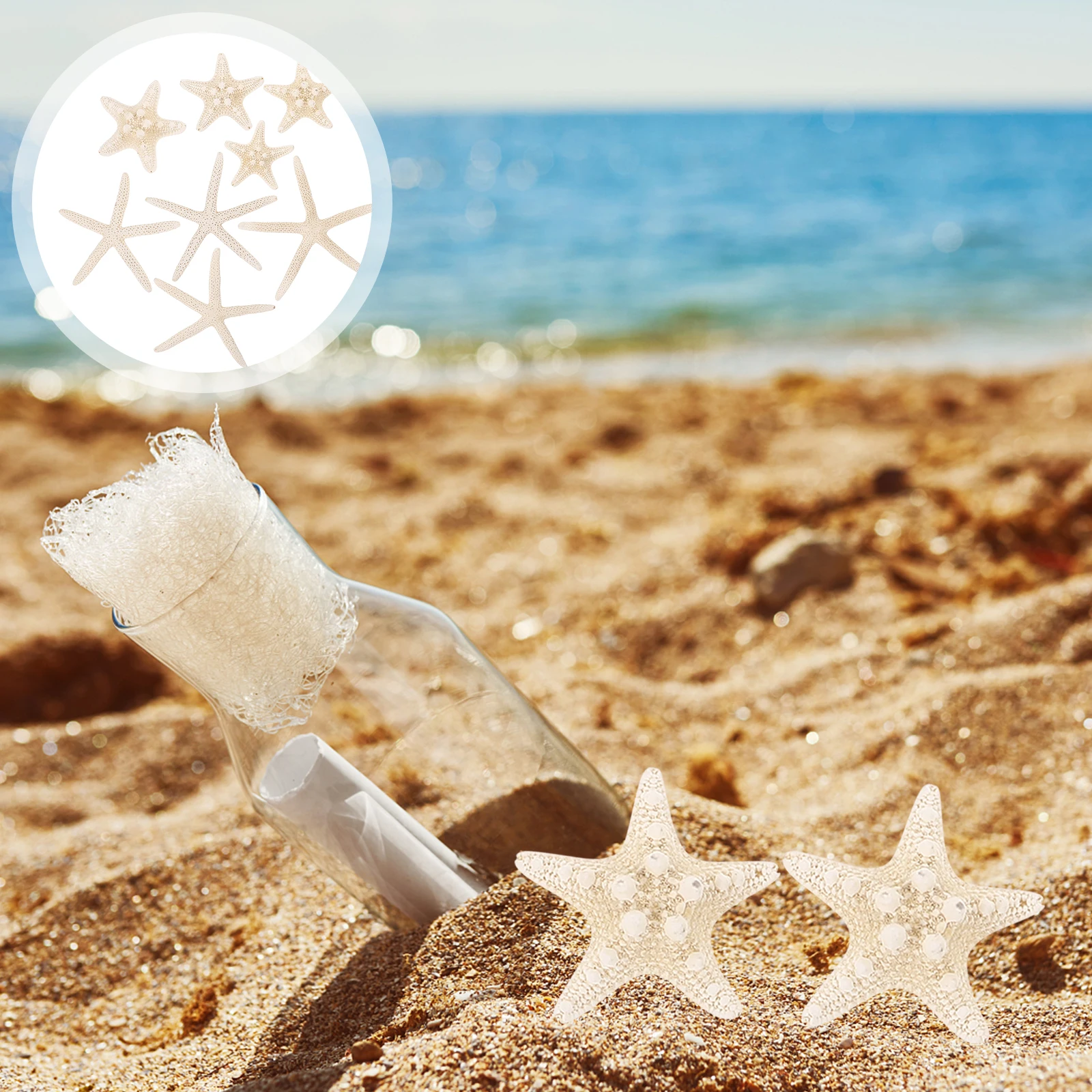 

8pcs Natural Sea Star Decorative Crafts For Aquarium Desktop Fish Tank Diy Wishing Bottle Adorn Mini Landscape Ornament