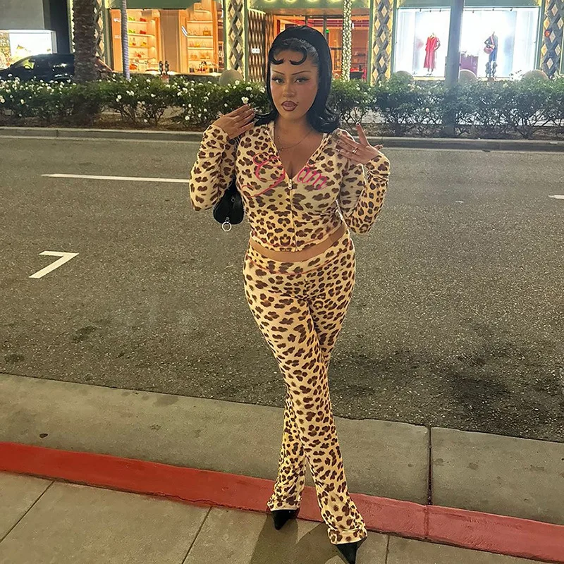 Leopard Print 2 Piece Tracksuit Women's Y2K Long Sleeve Crop Top & High Waist Pants Set Retro Streetwear Casual Matching