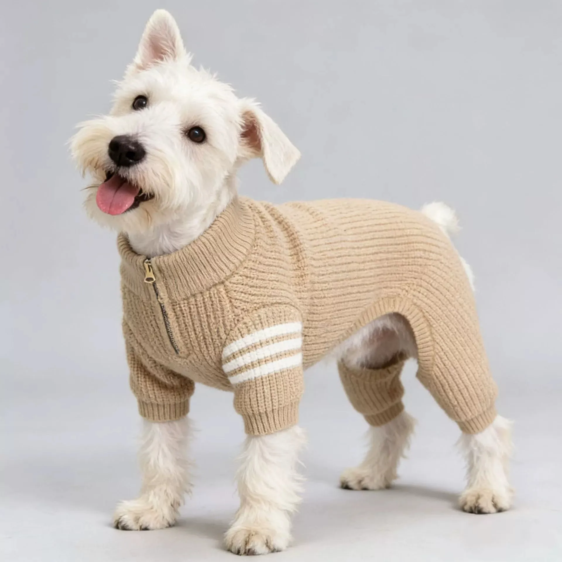 Thumbnail 4 - #13 Cheapest Dog Jumpers Deals You Can Get