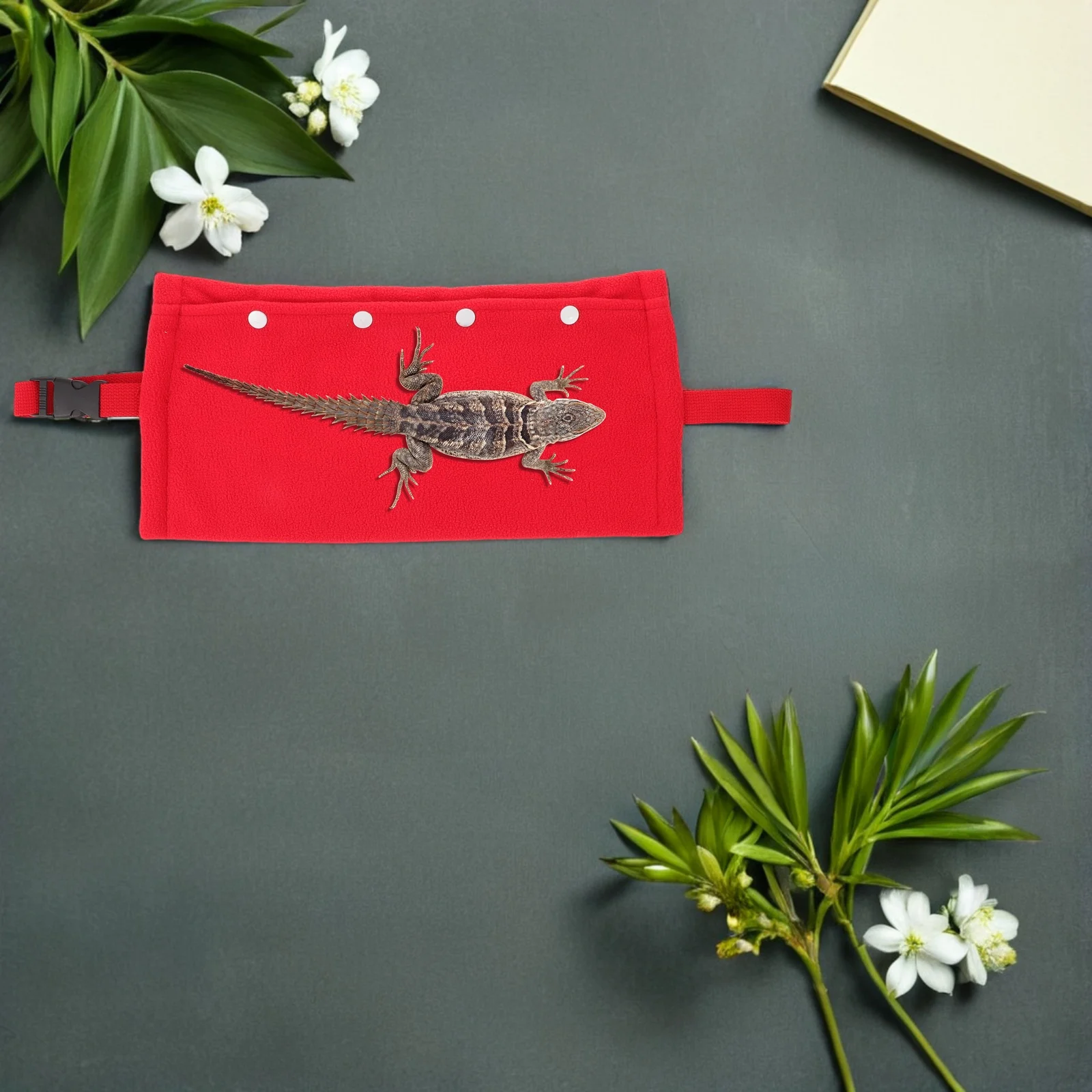 الحيوانات الأليفة نزهة حقيبة للزواحف قابل للتعديل السحلية السفر الناقل الرافعة المحمولة الصغيرة الحيوان الناقل ل الحرباء التنين الملتحي #2