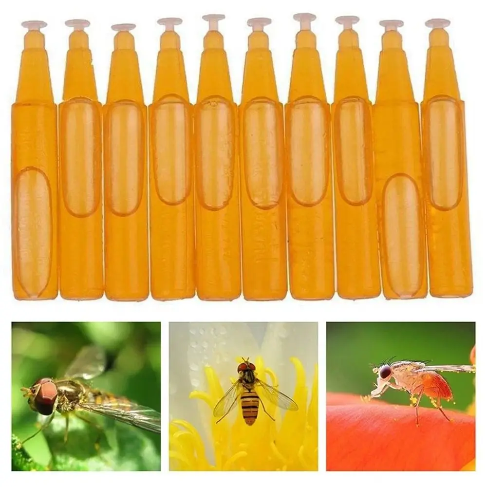 Thumbnail 3 - #19 Trending Pest Control Traps Right Now