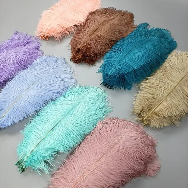 10PCS Natural Ostrich Feathers 15-55cm Fluffy Ostrich Plumes for Carnival Show Burlesque Outfit Home Floral Arrangement Decor