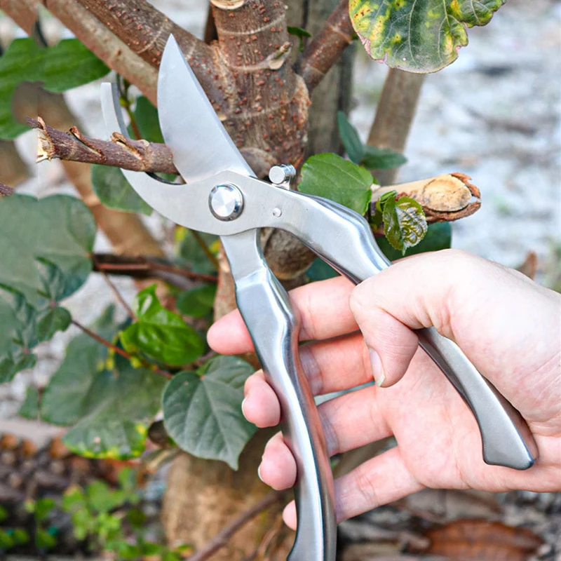 Pruning Shears Metal All-steel Fruit Picking Gardening Rough Branch Shears Multi-functional Labor-saving Rebound Pruning Tool