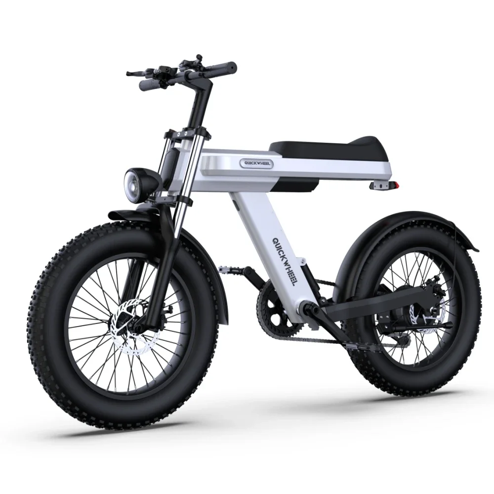 Eu Warehouse 1000W Dual Motor 15Ah Battery Two Wheel Drive Electric Mountain Bike 20