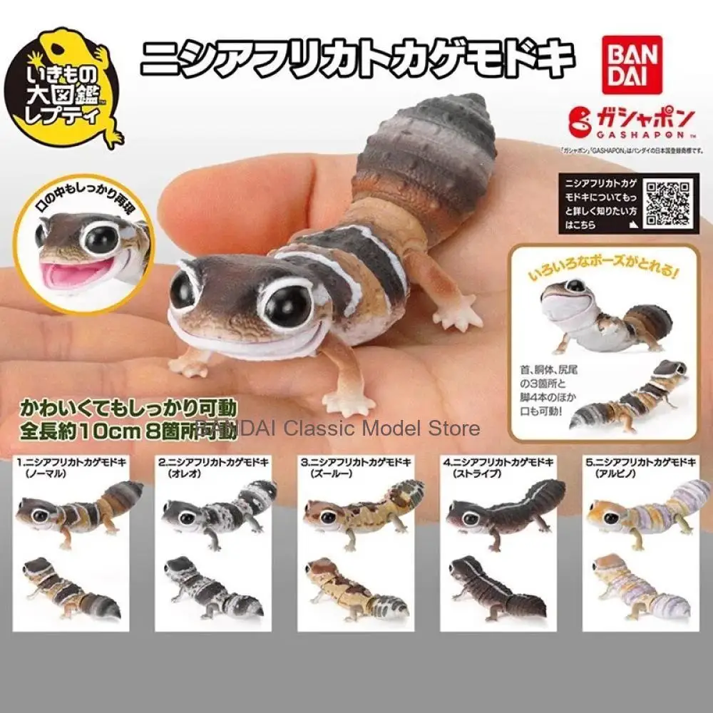 

Bandai Genuine Biological Encyclopedia Gashapon Toy Hemitheconyx Caudicinctus Simulation Movable Lizard Reptile Model Decoration