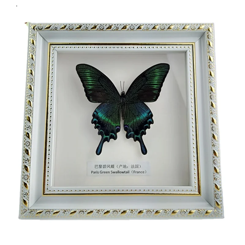 

Образцы настоящих бабочек, фоторамка, рукоделие, коллекция ювелирных изделий, день рождения, свадебный подарок, украшение для дома