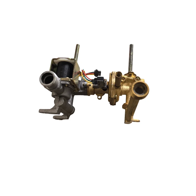Bollitore a gas parti di acqua e gas assemblea solenoide valvola 7-10L 10Y150H