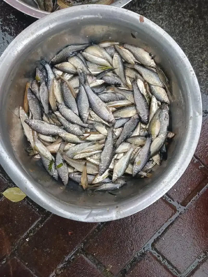 

Свечи накаливания горячего и среднего уровня T2, замена деталей двигателя OS # 8 для радиоуправляемого автомобиля Nitro Trxs Redcat Himoto HPI HSP