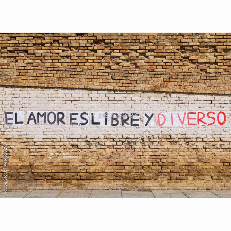 Vinyl Custom Graffiti Theme Photography Backdrops Studio Props Vintage Brick Wall Photo Photography Background 211217STO-01