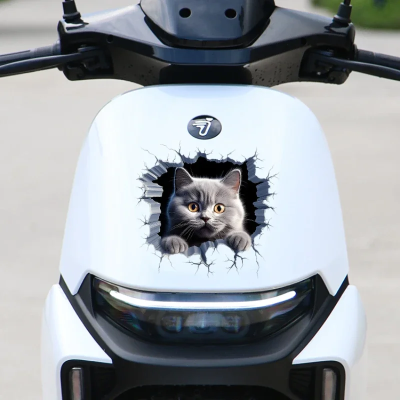 Stiker mobil kucing 3D penutup Bumper tubuh otomatis goresan sepeda motor dekorasi tangki bahan bakar Cowl depan Aksesori Kendaraan hewan yang dapat dilepas