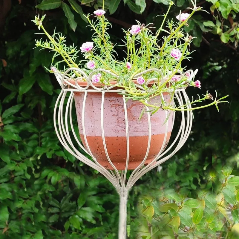 Wrought iron crown trellis, ground inserted climbing trellis, raised pots, rose orchids, pothos gardens, garden plants, balcony