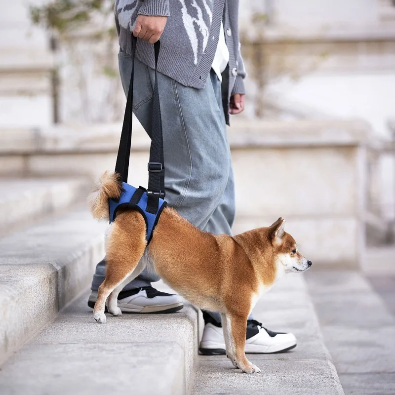 Harnais de soutien des jambes arrière pour chien senior, pour la décompance et les personnes handicapées, aide à la mobilité des animaux de compagnie réglable, rééducation des jambes arrière