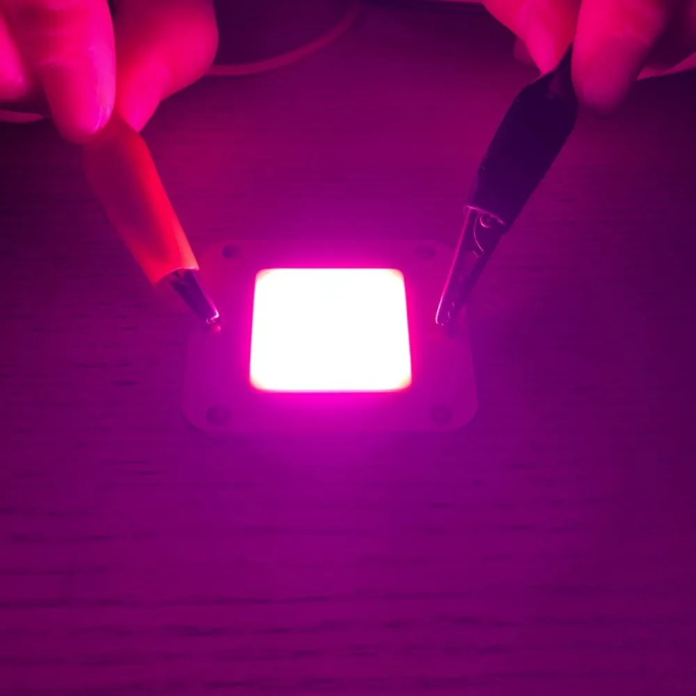 

DC12V 32V 50W LED COB Integrated Smart IC Driver High Power 12V COB LED Cold White Warm White Full Spectrum