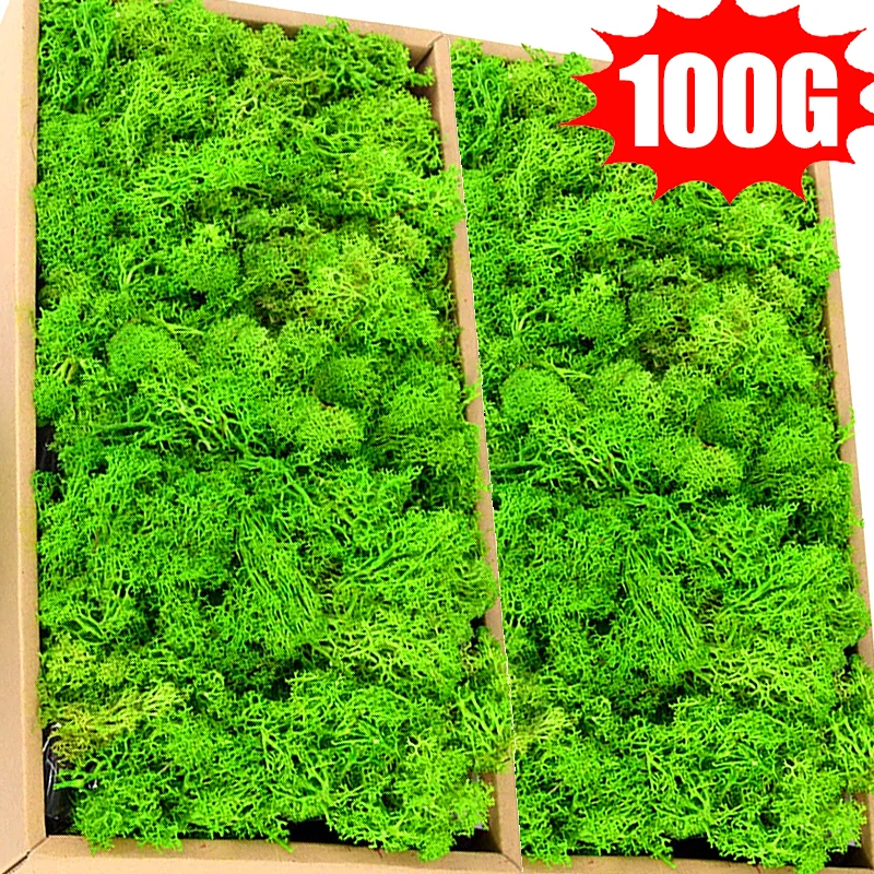 100/50/30G Artificial Green Plants Eternal Life Moss DIY Crafts Mini Landscape Garden Home Room Decoration Simulation Green Moss