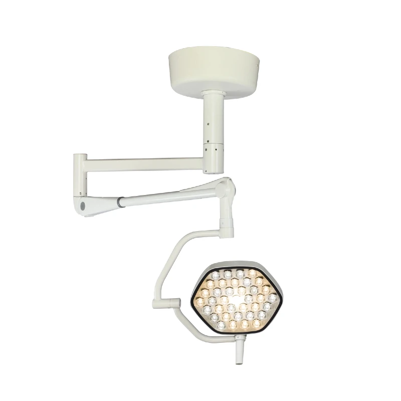 Factory Wholesale OEM Ceiling Mounted Procedure Light LED Surgical Light for Plastic Surgery Veterinary Clinic