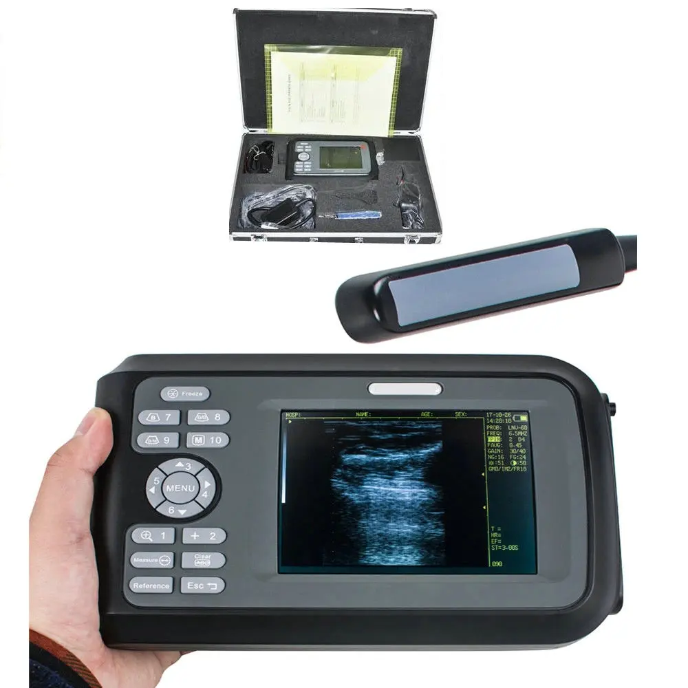 ultrasonido ecografo rectal portatil convex rectal probe vet v8 veterinary ultrasound handscan v8