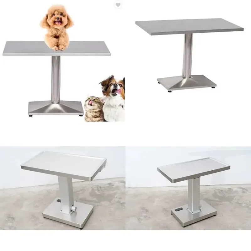 Stainless Steel Examination Table for Surgical Diagnosis Consultation Veterinary Clinic Equipment