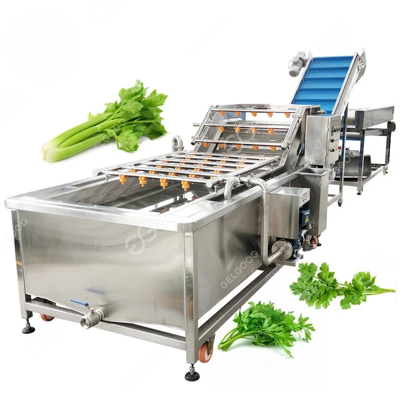 Commercial Bubble Parsley Vegetable Cleaning Equipment Celantro Lettuce Leek Celery Washing