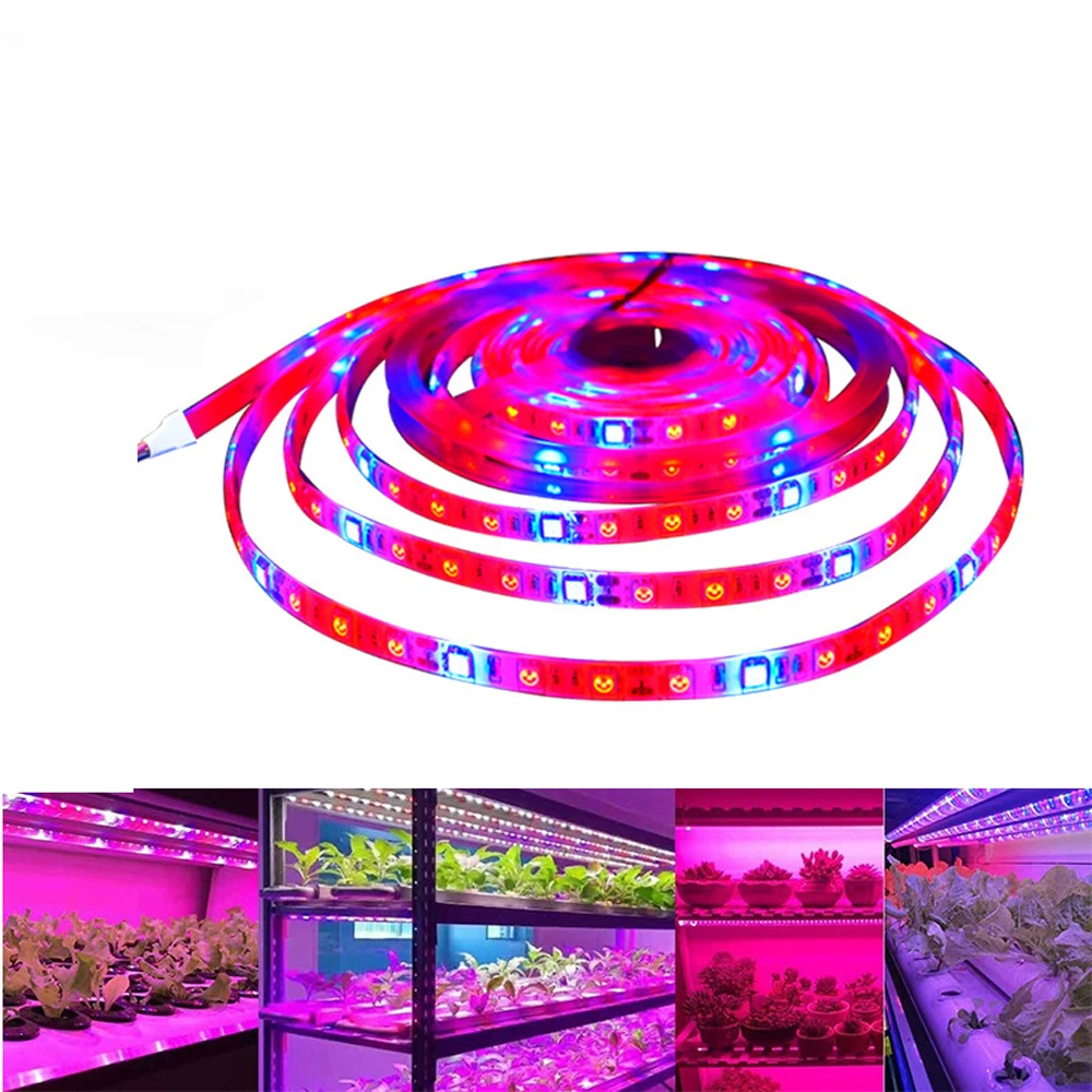 12V 5M LED Phyto Lamps Full Spectrum LED Strip Light 300 LEDs 5050 Chip LED Grow Lights For Greenhouse Hydroponic plant