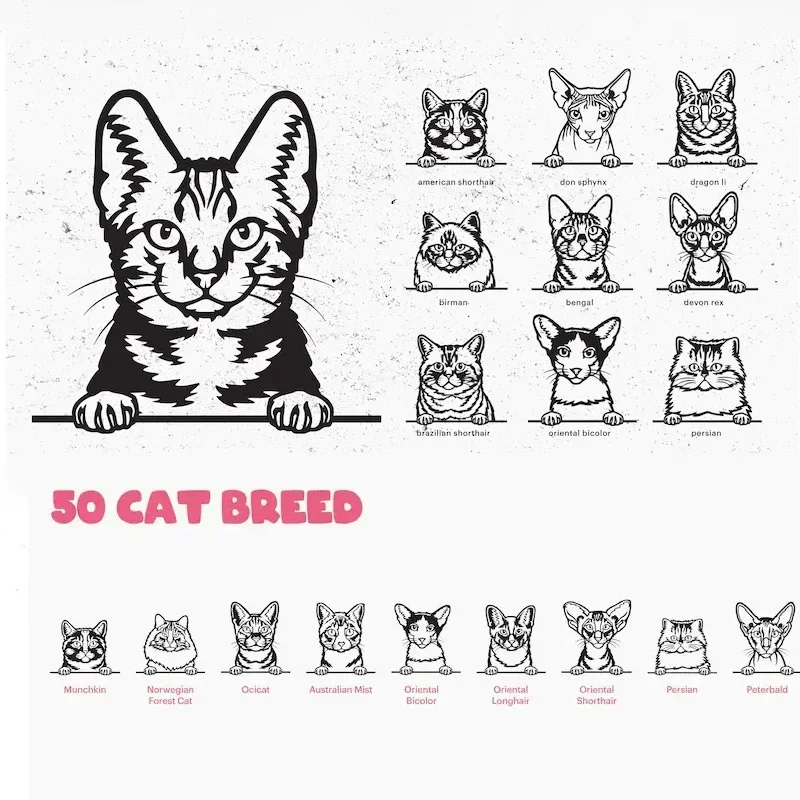 

50 Cat Peeking SVG Vector Designs for Laser Cut Glowforge Cricut Silhouette Print Digital Download