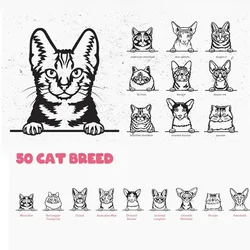 50 Kat Gluren Svg Vector Ontwerpen Voor Laser Gesneden Glowforge Cricut Silhouet Print Digitale Download