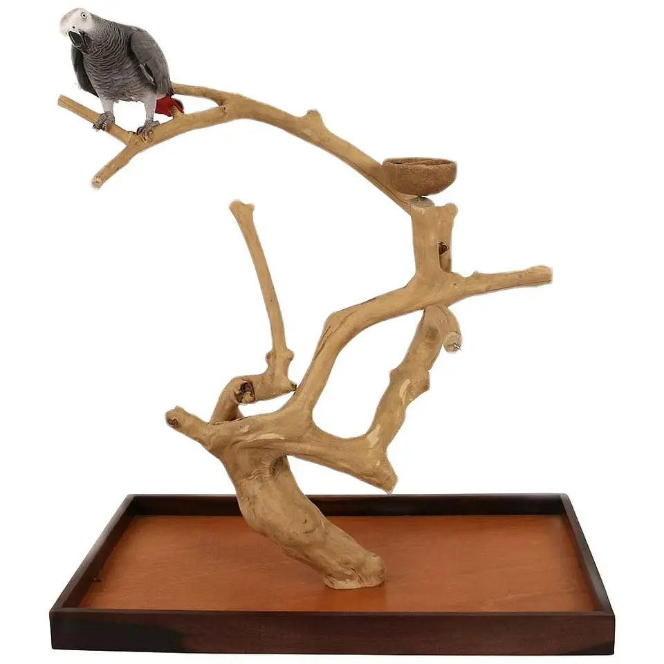 

Java Wood Coffee Wood Parrot Bird Perch Tree Parrot Playstand Bird Toys For Parrot Raw Wood Fork Tree Branch Kimy