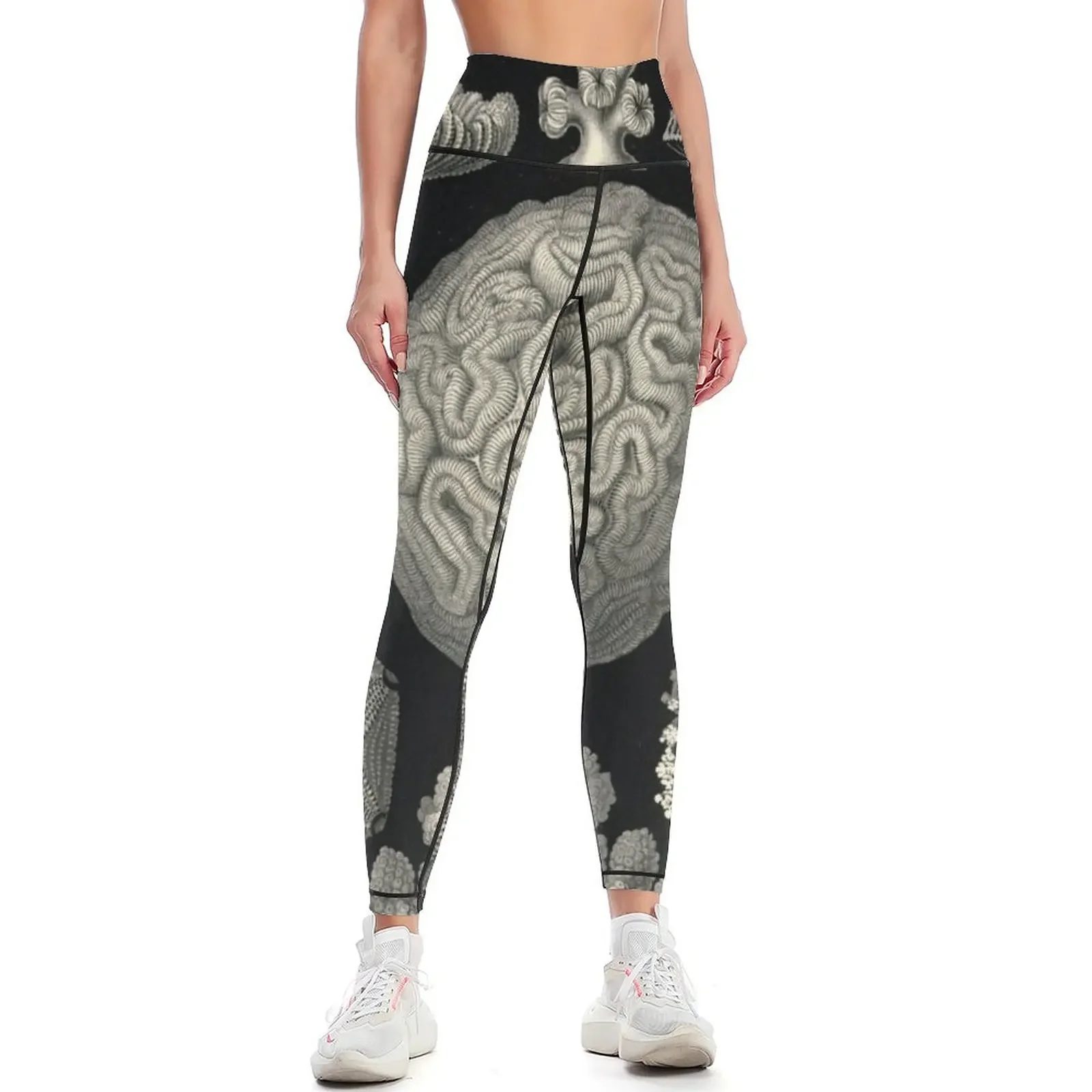 

Hexacoralla - Ernst Haeckel Leggings gym womans Sports pants woman Women's gym gym's clothing Womens Leggings