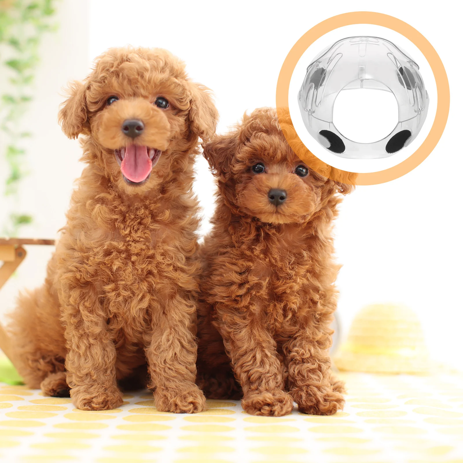 

Cat Transparent Recovery Breathable Anti Bite Protective Hood for Post Surgery Healing Cats Cat Kitten Hood