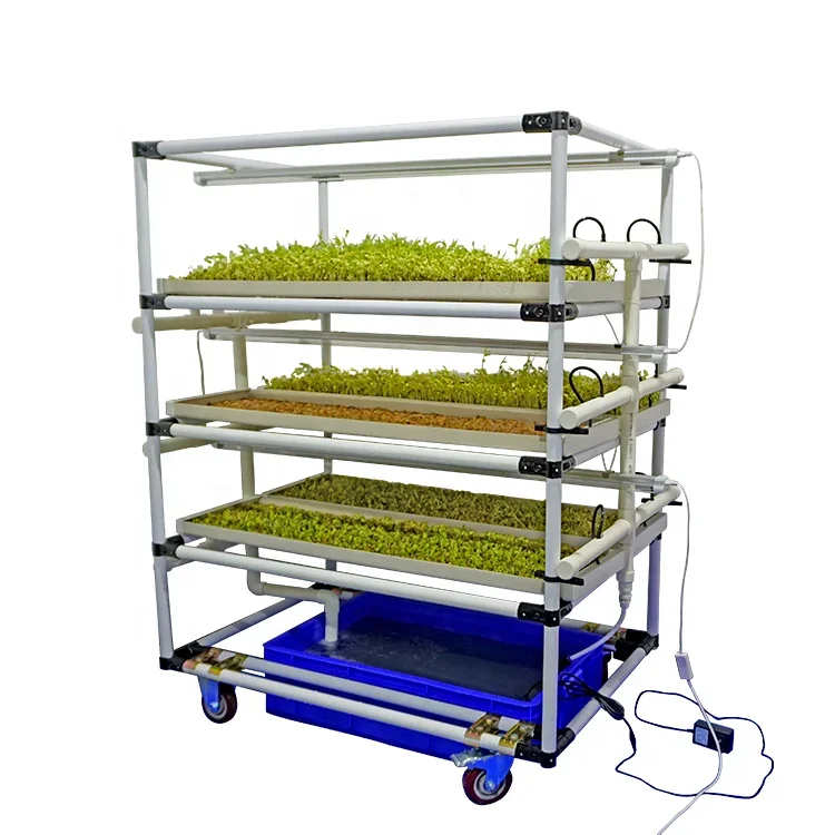 2026 Full Automatic and Easy Operate  Microgreens Growing System Seedling Rack with LED Hydroponics Growing Lamps