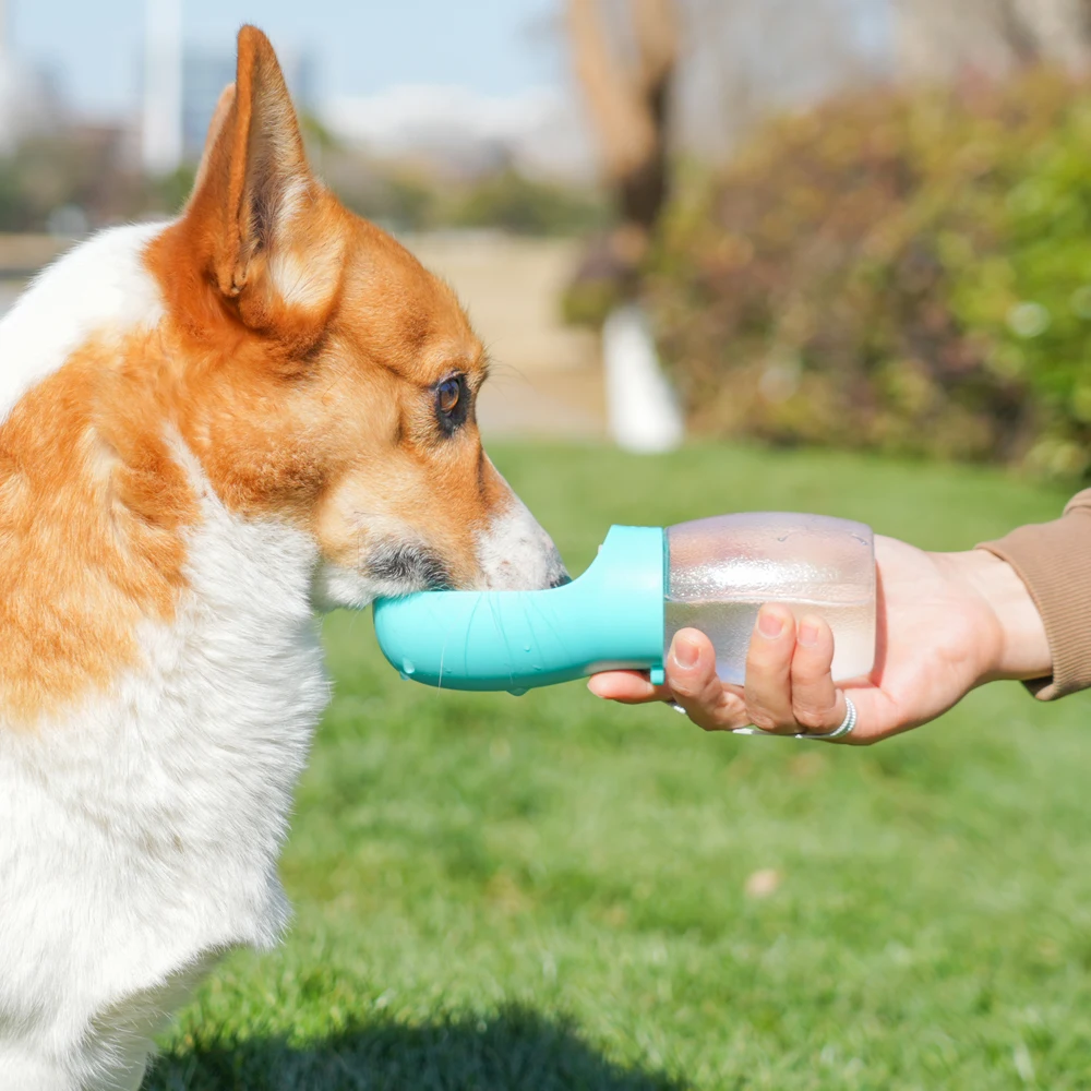 Pet Dog Water Bottle 300ML Puppy Drinking Bowls For Small Medium Dogs Cats Hiking Portable Cat Feeder Golden Retriever Supplies view 4