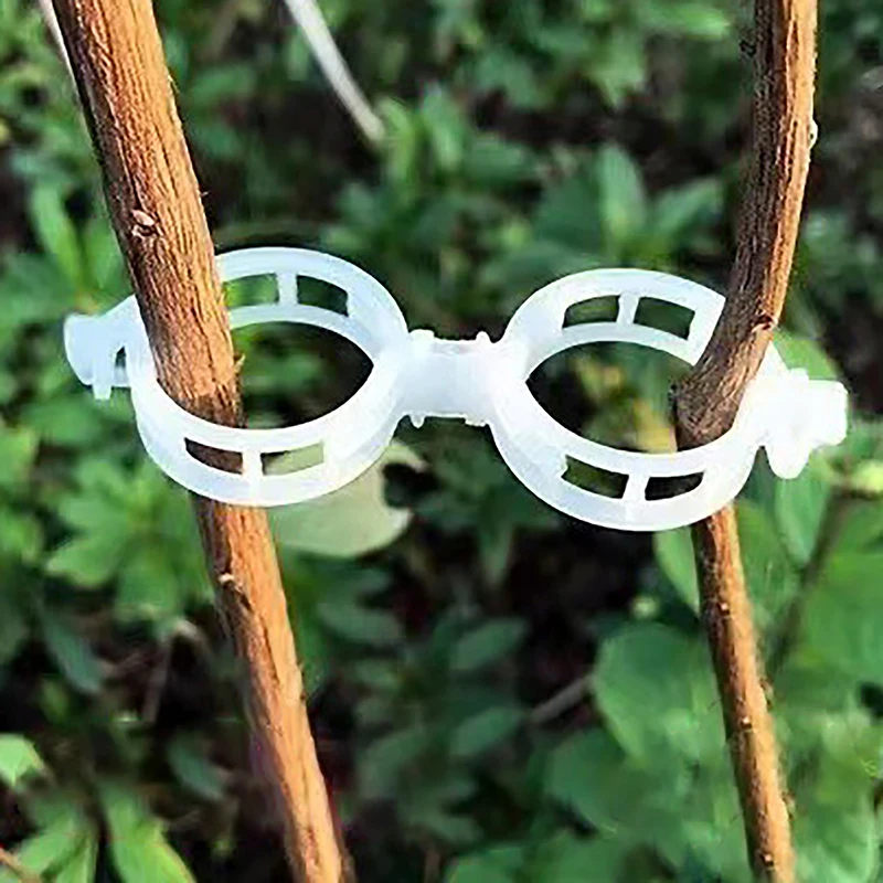 10Pcs White J Shaped Plant Ear Hook Garden Vegetable Plant Grape Support Vines Fastener Clips Trellis Fixed Buckle Hook