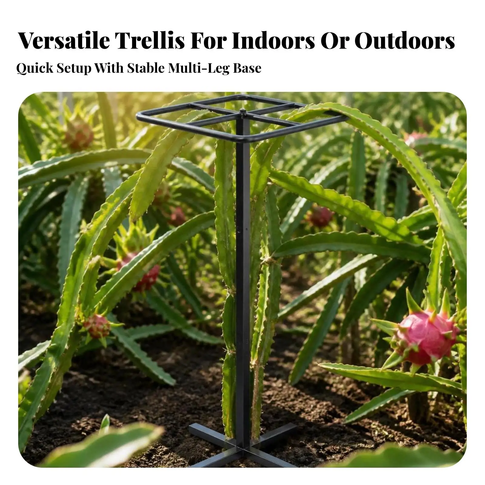 Adjustable Climbing Plant Trellis Metal Garden Trellis Outdoor Support Stand for Dragon Fruit Heavy Vines 3 Level Height