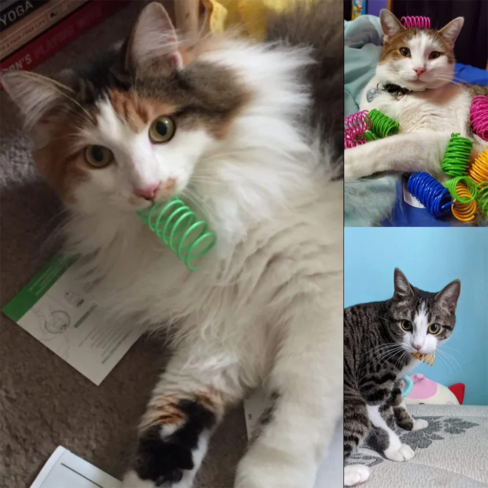 4/100Pcs Cat Spring Toy, Cat Spiral Toys Interactive for Indoor Colorful Cats Plastic Springs Coil for Kitten Hunting Swatting