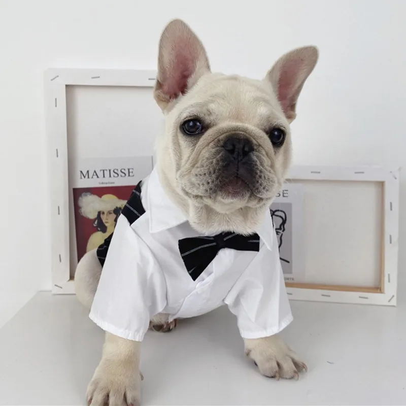 Dog Gentleman Wedding Suit Clothes Dog Suit Bow Tie Clothes Halloween Christmas Costume For Small Dogs Teddy Bulldog