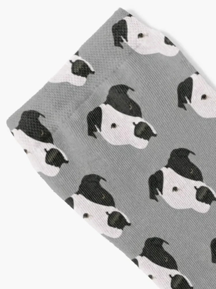 Chaussettes de sport pour hommes et femmes, Freddie The Pit Bull, Hip Hop Parker, Nouvel An