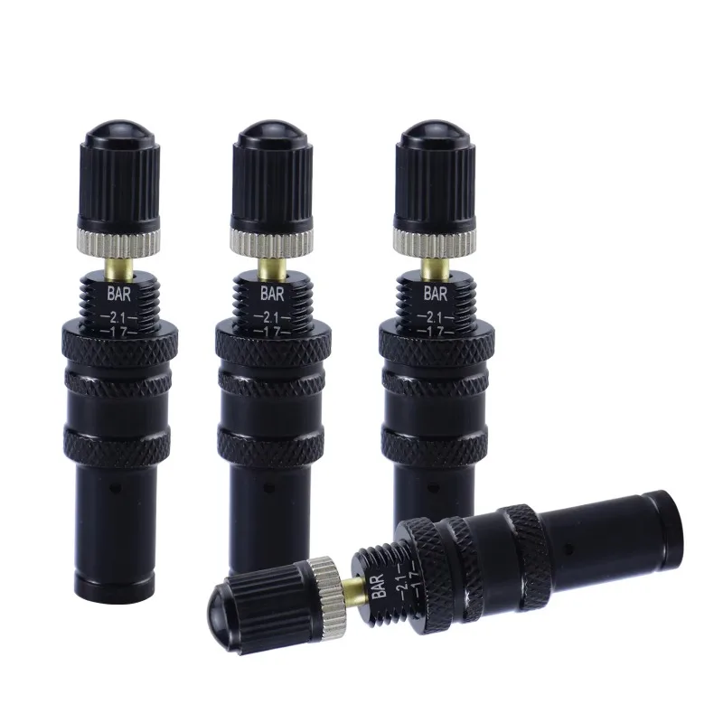 Portable tire deflator, brass graduated automatic deflation valve, car tire pressure relief accessories