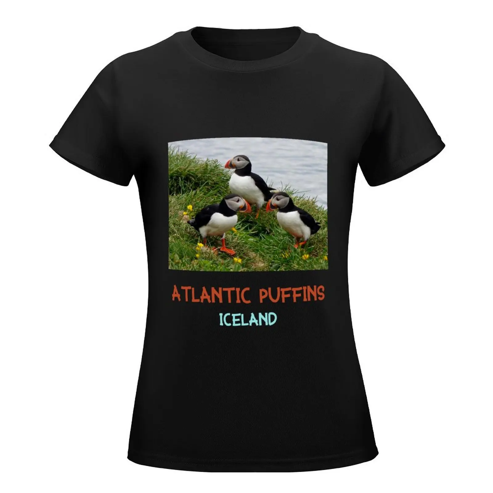 The Atlantic Puffins in Iceland T-Shirt Aesthetic clothing Blouse tops animal print shirt for girls t shirt Women