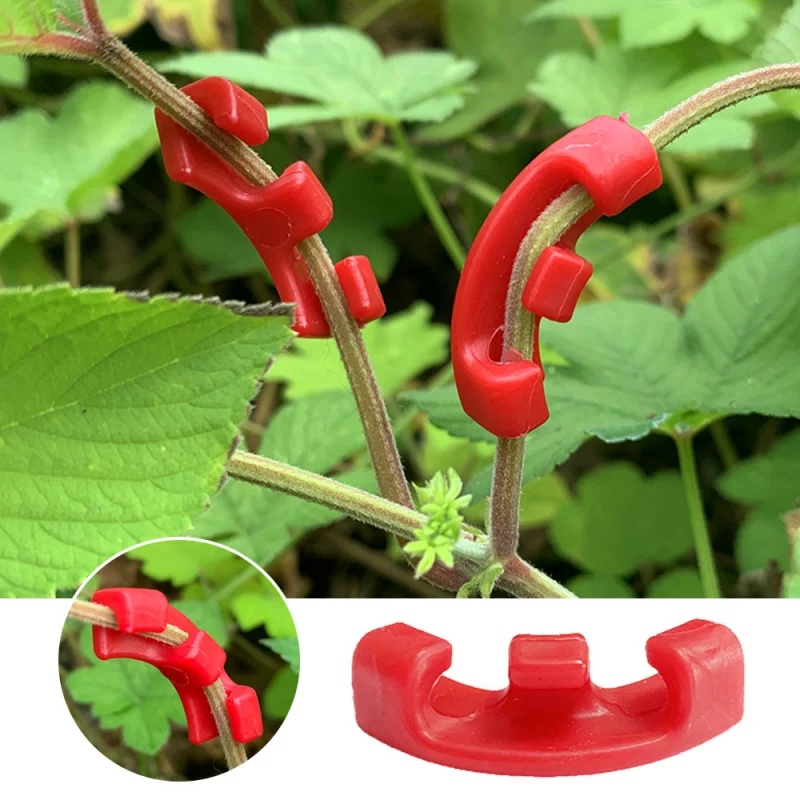 

10Pcs Plant Clips Plants 90 Degree Bender Clips for Control Growth Curved Plant Support Guides Training Fixing Clip